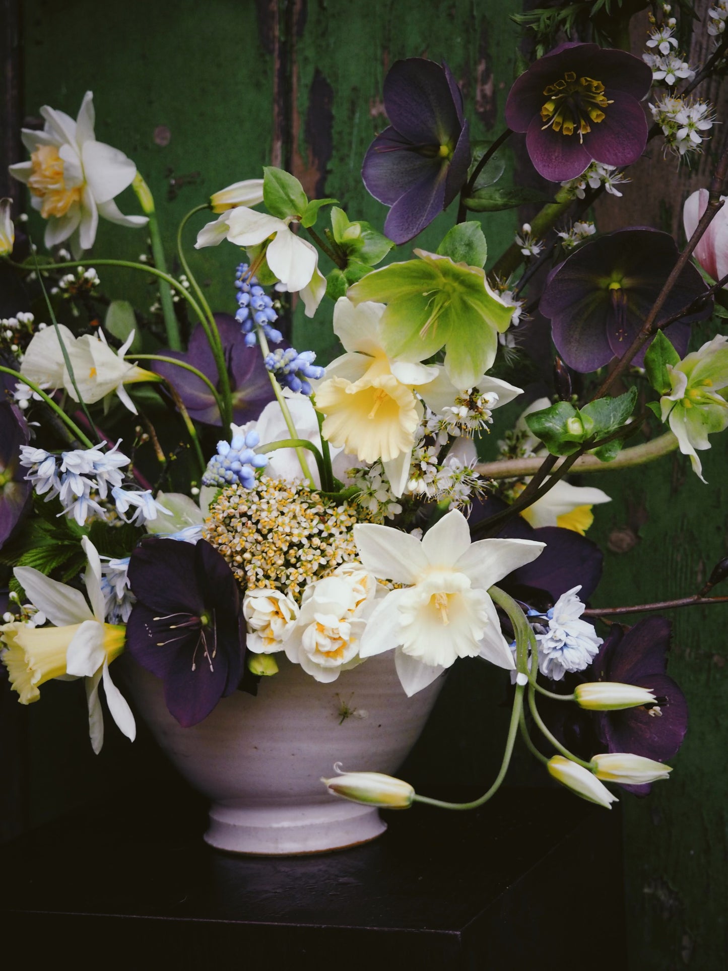 Bowl in collaboration with The Wild Society