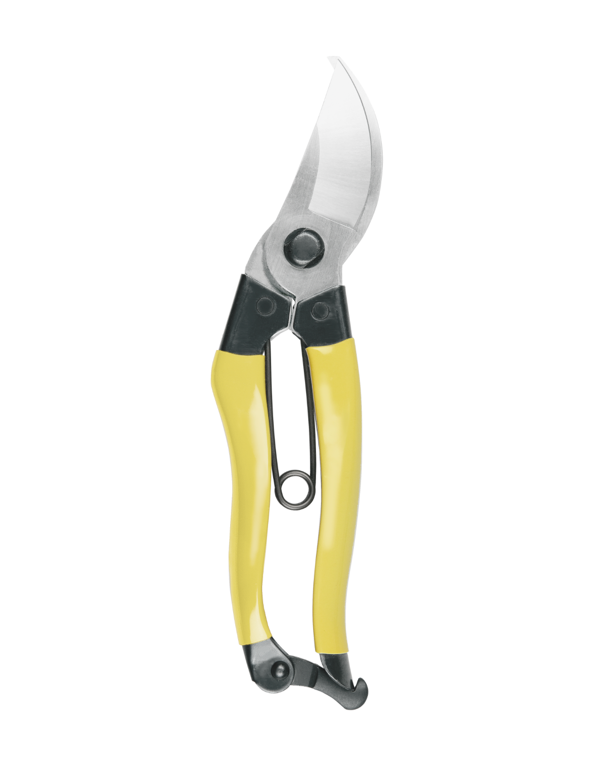 Niwaki Mainichi Secateurs