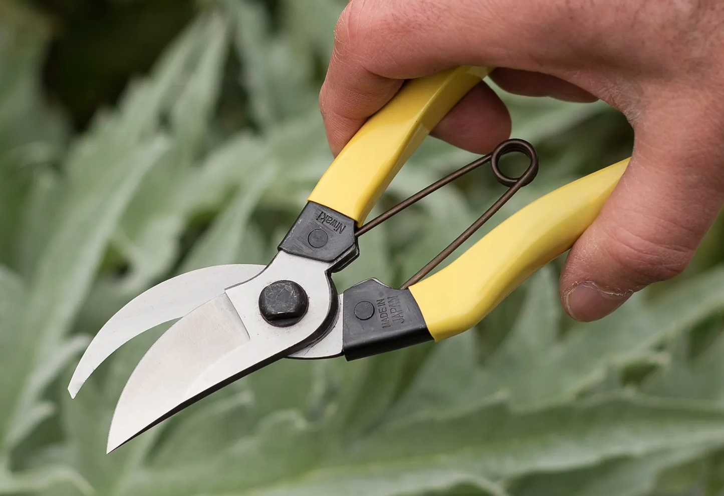 Niwaki Mainichi Secateurs
