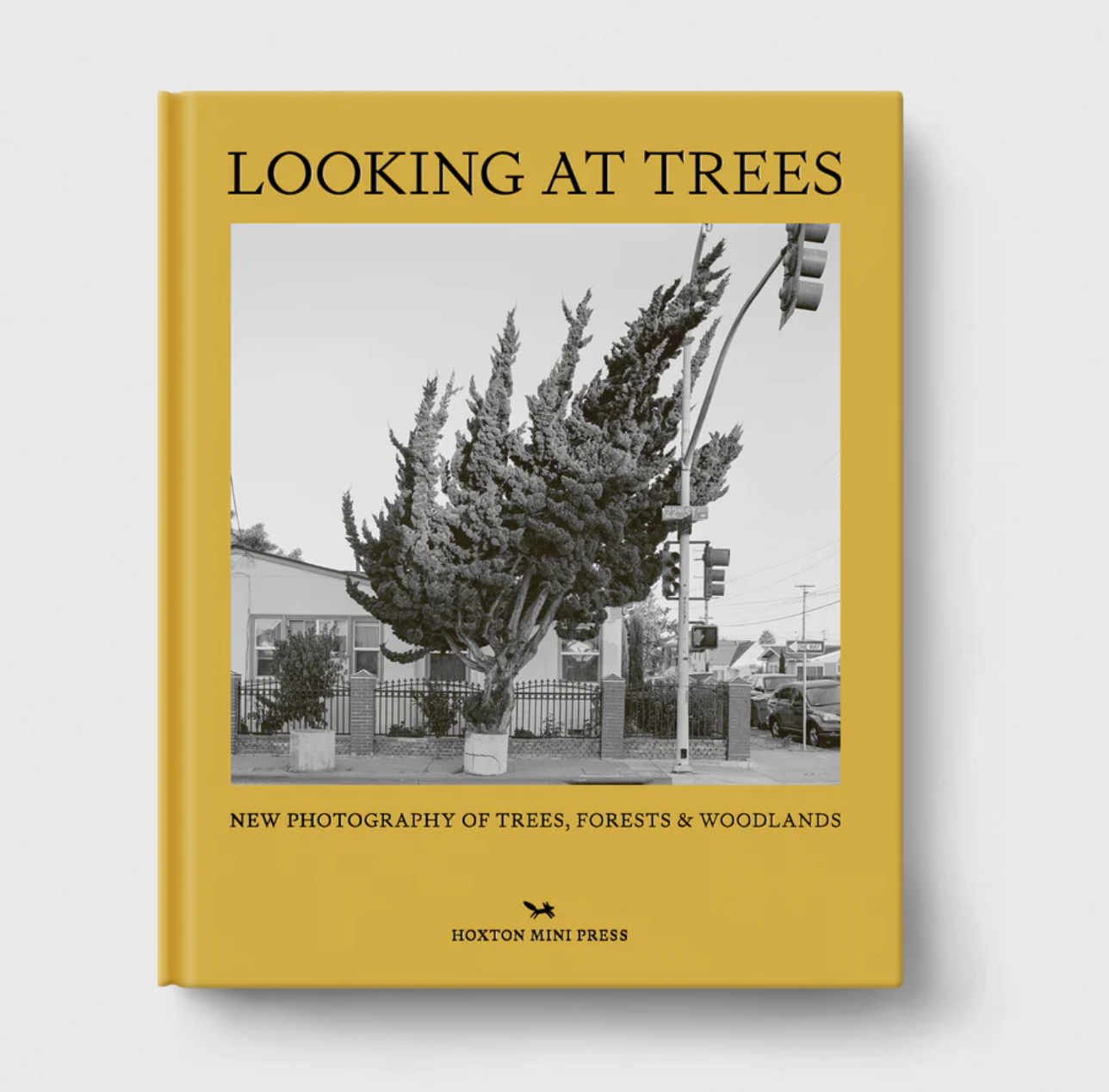 Looking at Trees