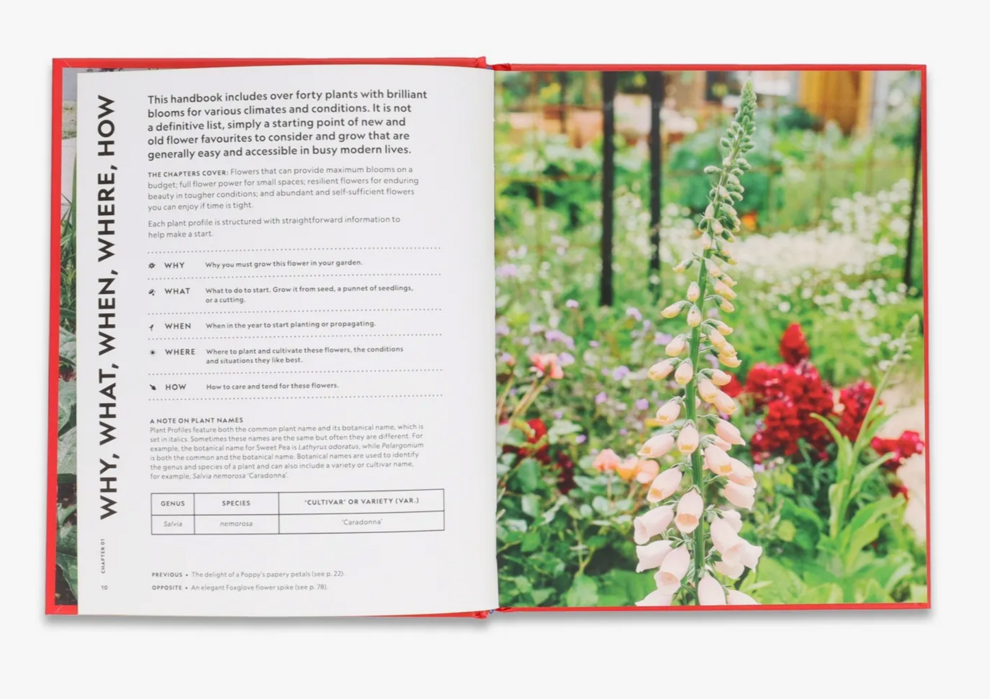 The Super Bloom Handbook by Jac Semmler