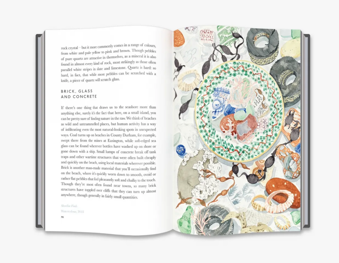 The Book of Pebbles From Prehistory to the Pet Shop Boys Christopher Stocks, Angie Lewin