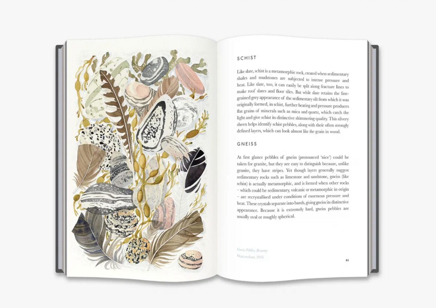 The Book of Pebbles From Prehistory to the Pet Shop Boys Christopher Stocks, Angie Lewin