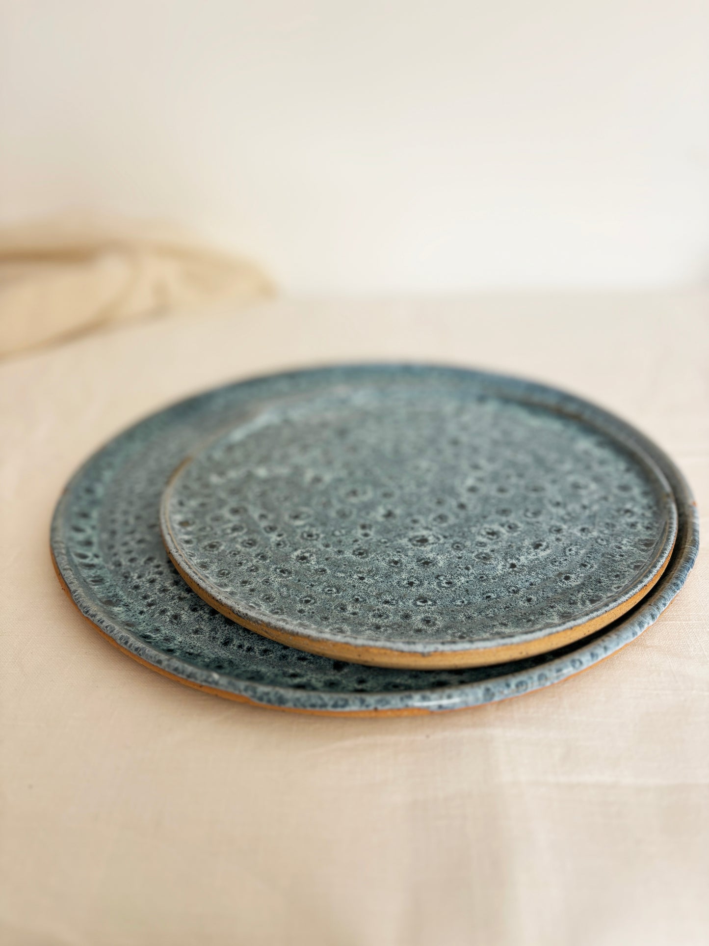 Wilderness Reserve Dinner Plate -Blue