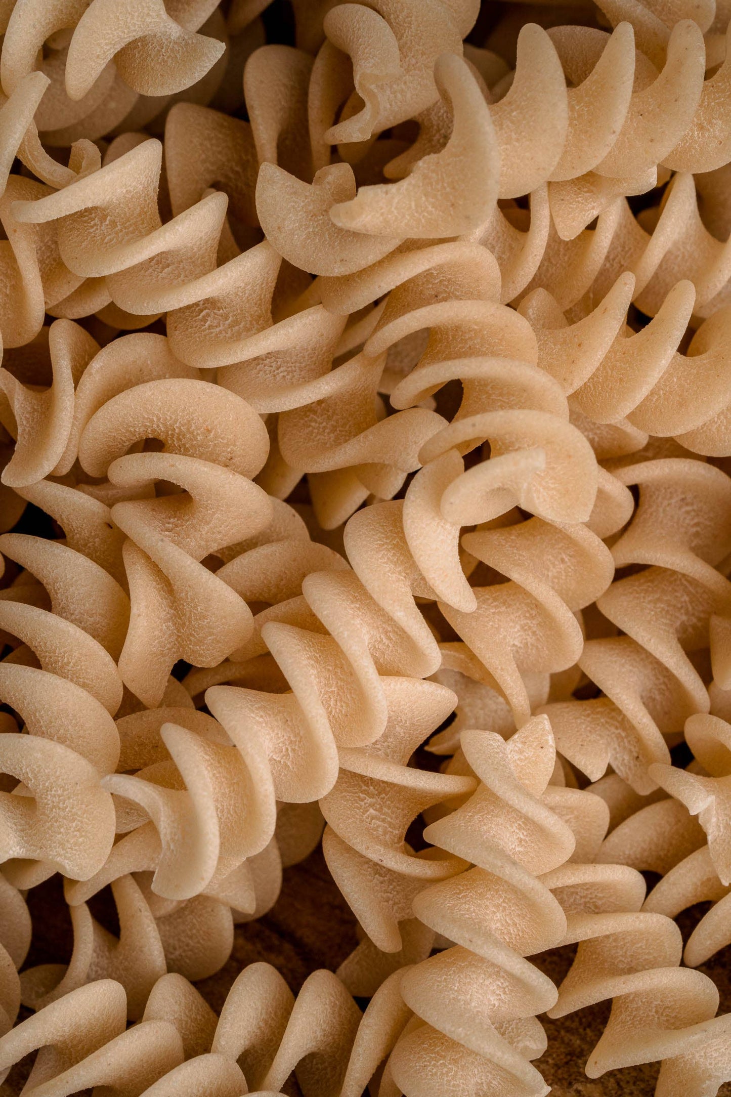 Northern Pasta Co. - Fusilli