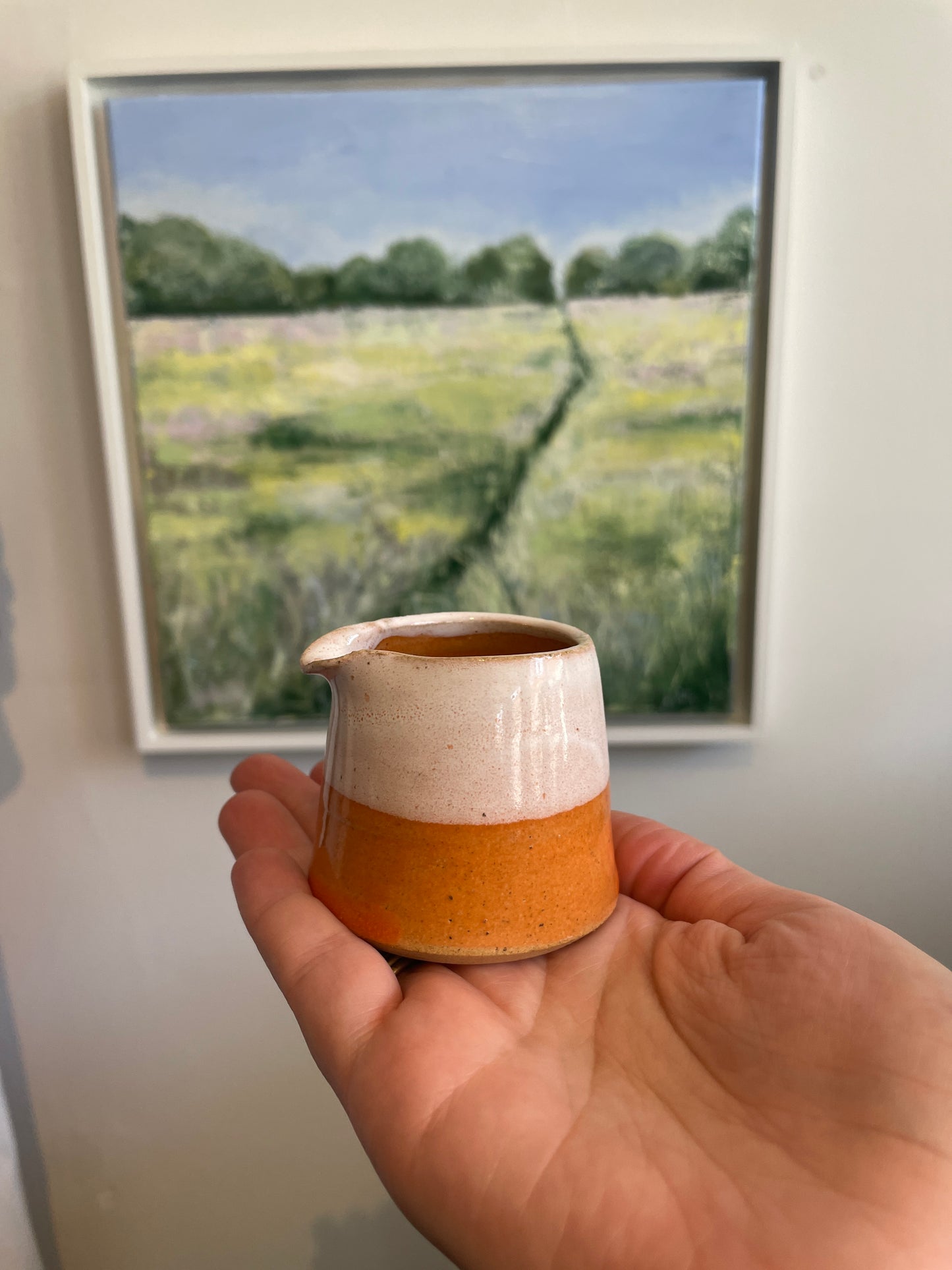 Mini Jug