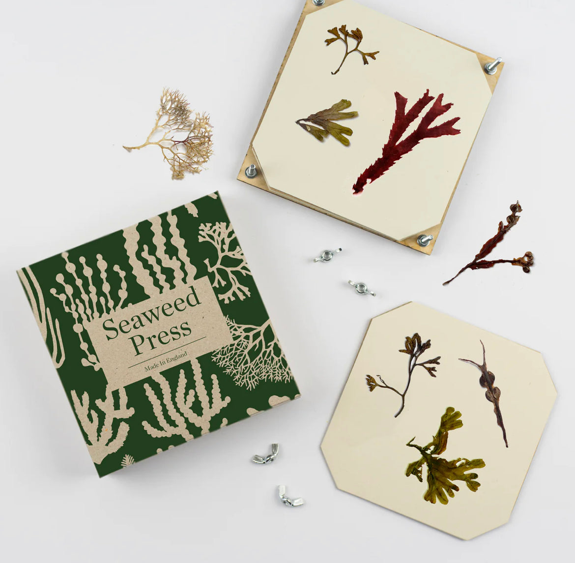Wald Studios - Seaweed Press