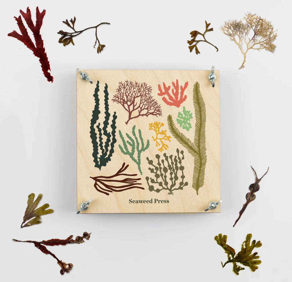 Wald Studios - Seaweed Press