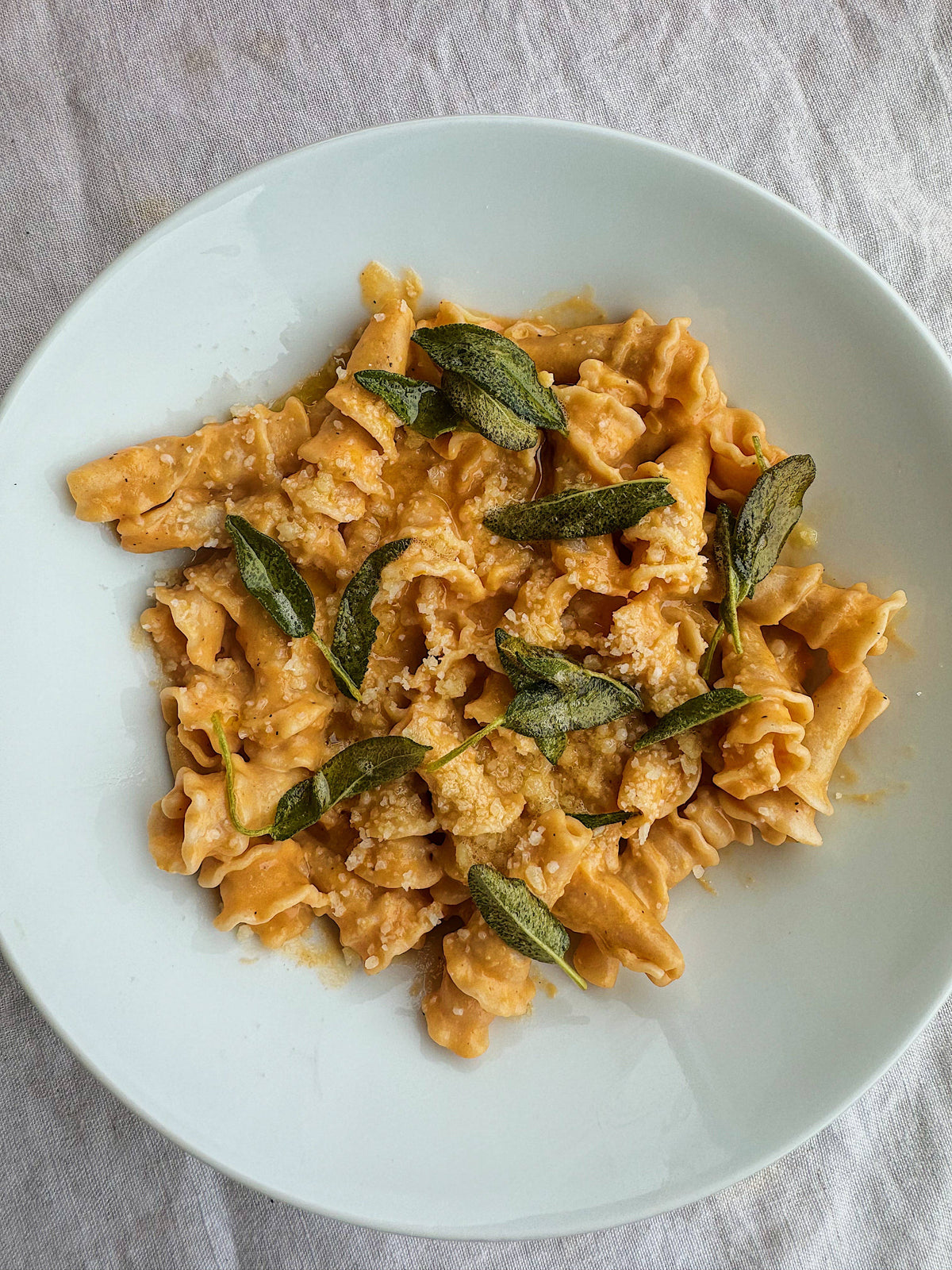 Northern Pasta Co. - Gigli