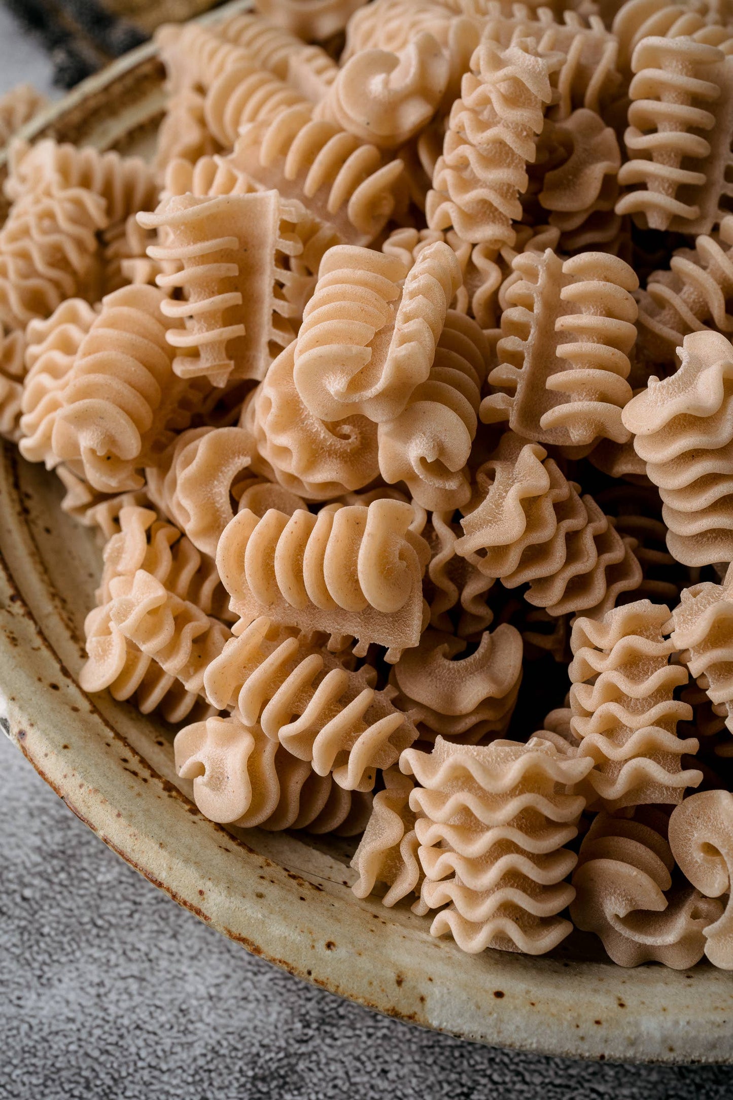Northern Pasta Co. - Radiatori