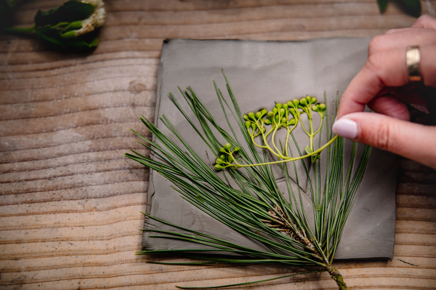FAMILY- Pressed flower tile workshop