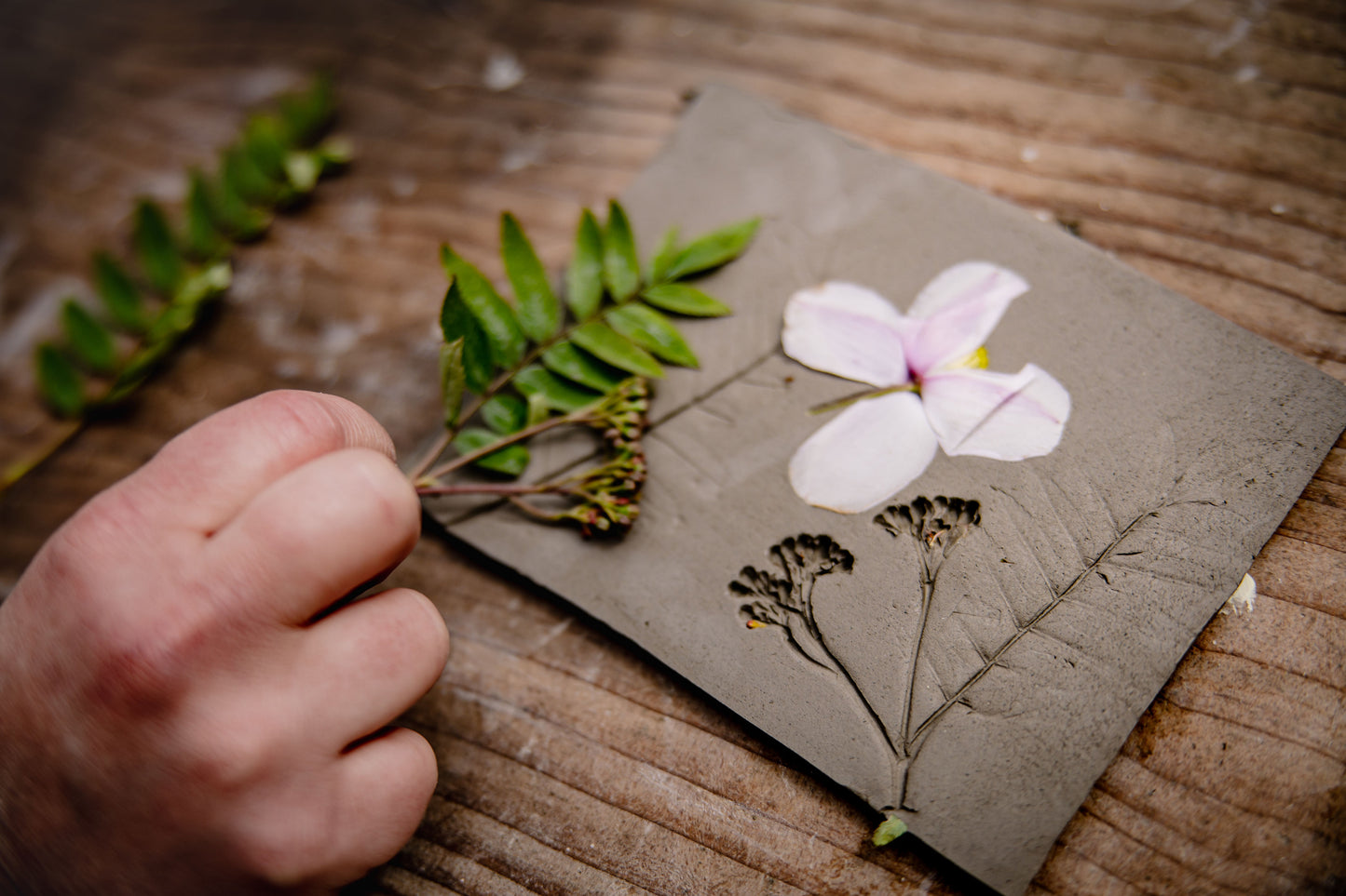 FAMILY- Pressed flower tile workshop