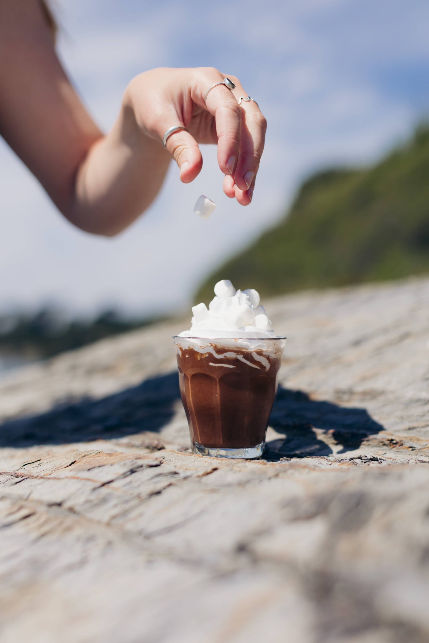 Harth Chocolate - Choco Vanilla Milkshake 
